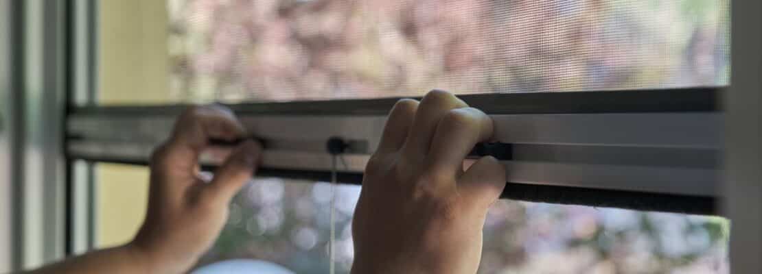 Moskitiery na okno – jakie są korzyści?